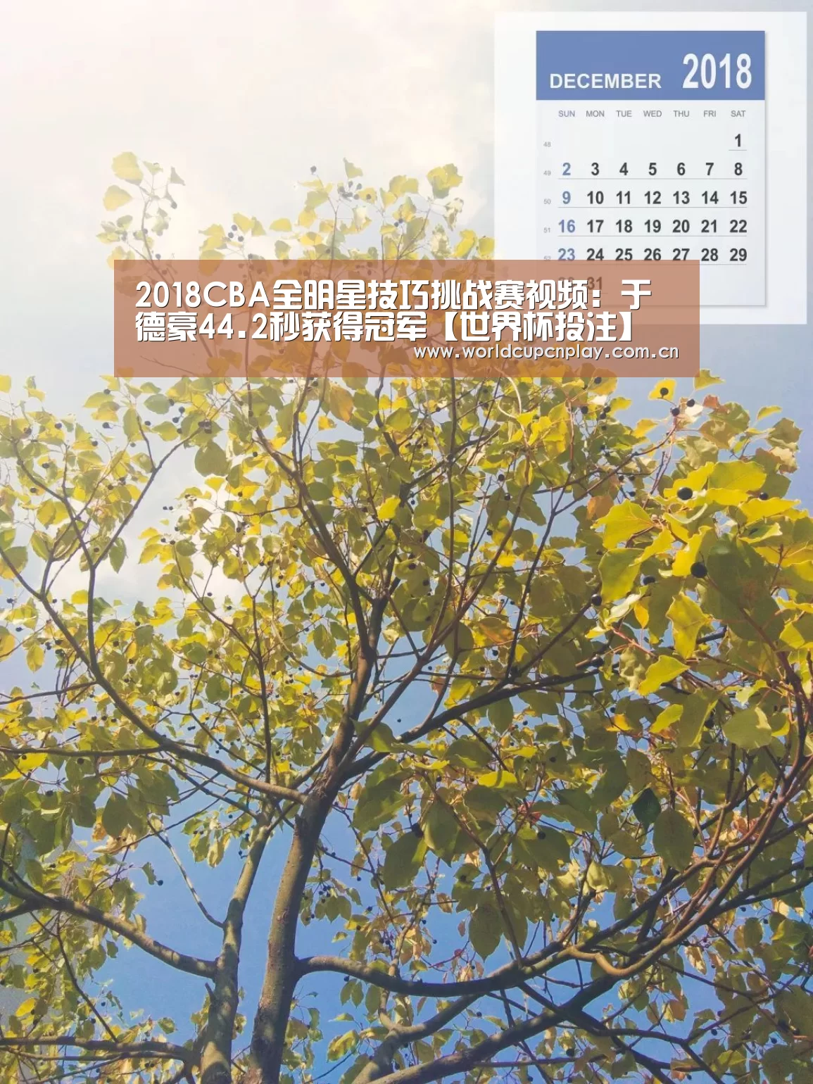 2018CBA全明星技巧挑战赛视频:于德豪44.2秒获得冠军【世界杯投注】(图1) 竞猜攻略